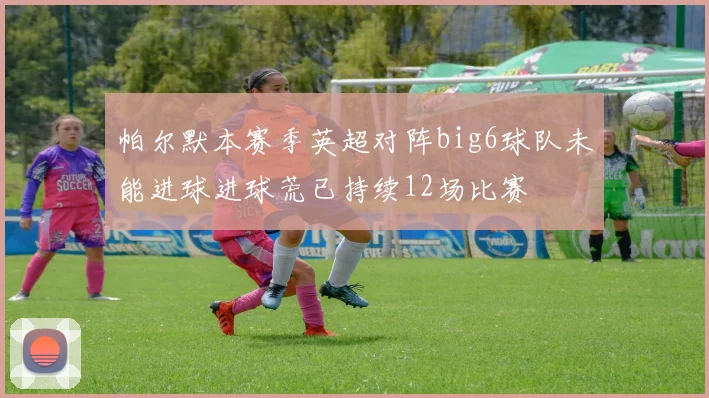 帕尔默本赛季英超对阵big6球队未能进球进球荒已持续12场比赛